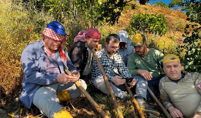 Aydın’da tarlada mesaiye milli maç arası