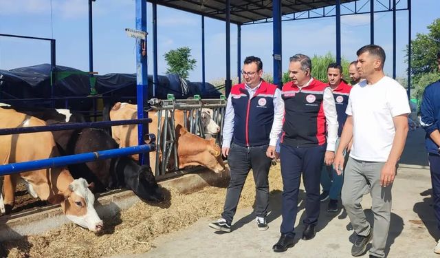 Bakanlık destekliyor, Aydın’da üretim gücü artıyor