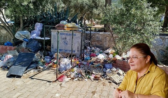 Çöp, koku, sinek... Didim’de hayat kabusa döndü