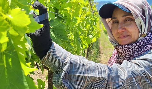 Üreticiler zamana karşı yarışıyor