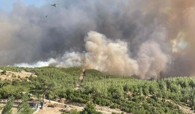 Aydın Çine’deki yangınla ilgili 2 kişi gözaltına alındı