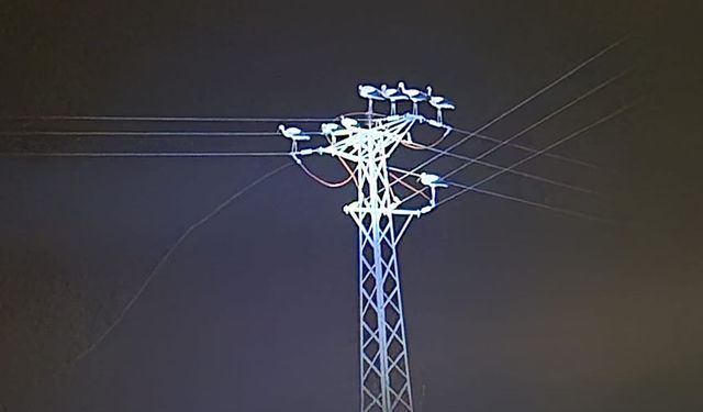 Dönüş yolundaki leyler bazı bölgeleri elektriksiz bıraktı