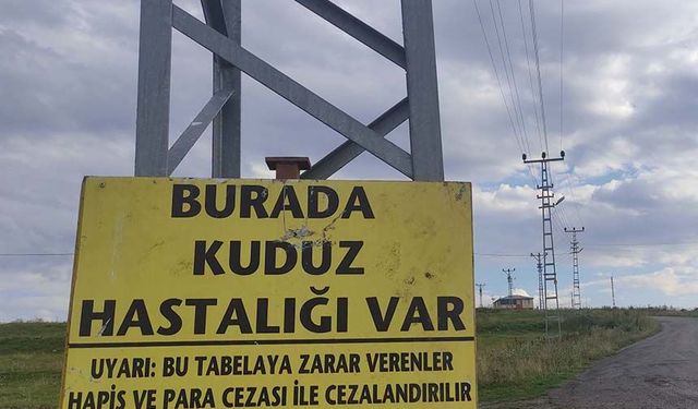 Kuduz nedeniyle bir mahalle karantinaya alındı.. Giriş-çıkışlar yasaklandı