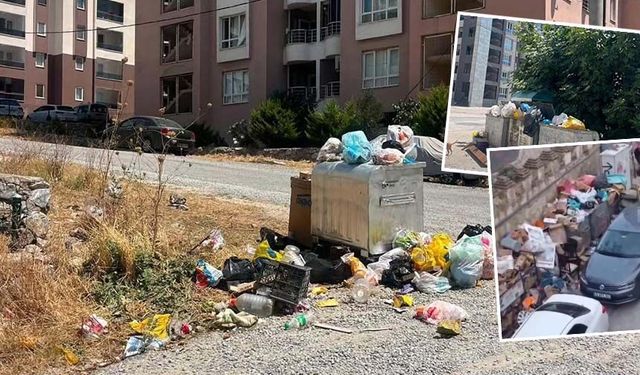 Kuşadası çöp adasına döndü! Kuşadası Belediyesi ne iş yapıyor?