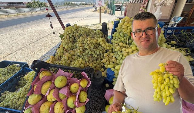 Yol üzerinde dalından sofraya