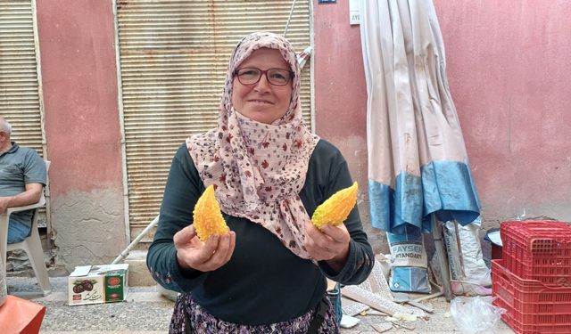Aydın’da pazar tezgahlarına çıktı, tanesi 50 liradan satılıyor