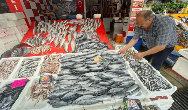 Av sezonu palamut bereketiyle açıldı