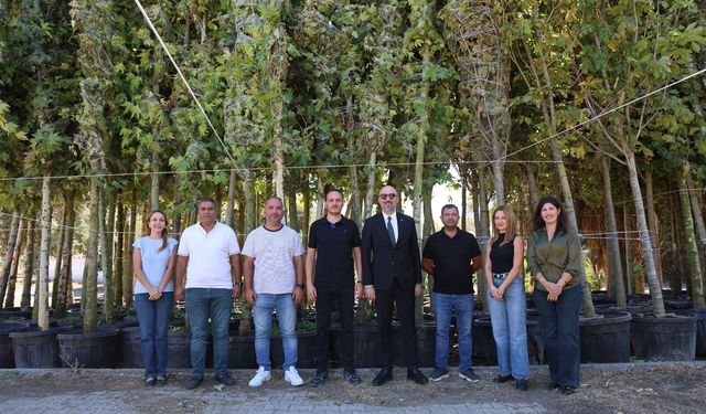 Aydın Büyükşehir Belediyesi’nden Söke’ye fidan desteği