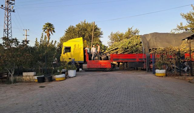 Aydın Büyükşehir Belediyesi’nden Sultanhisar'a yeşil alan desteği