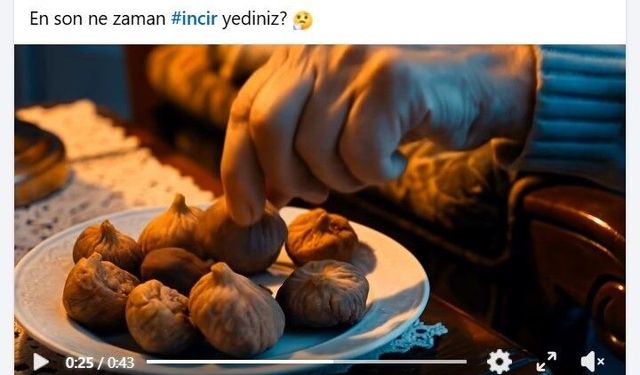 Başkan Çerçioğlu’ndan incir tanıtım filmi