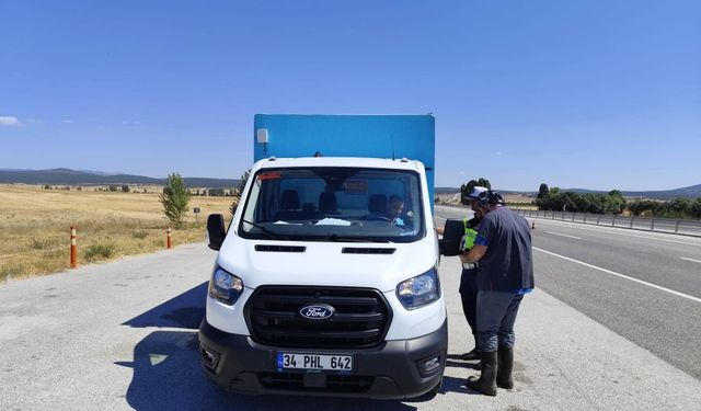 Hayvan nakillerine denetim