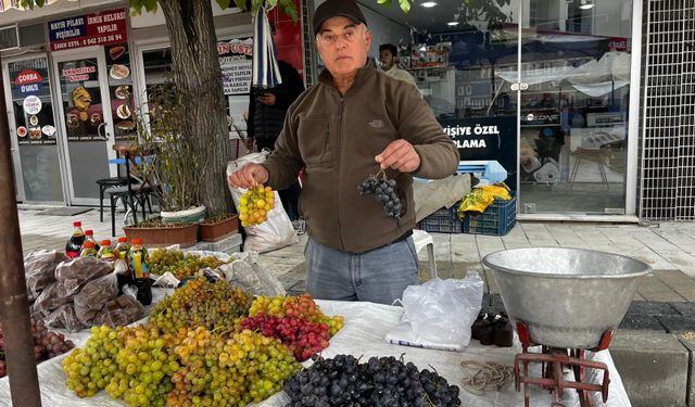 Haydar üzümleri tezgaha çıktı