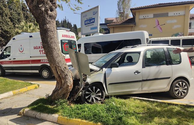 Aydın Kuşadası’nda tansiyonu düşen sürücü ağaca çarptı