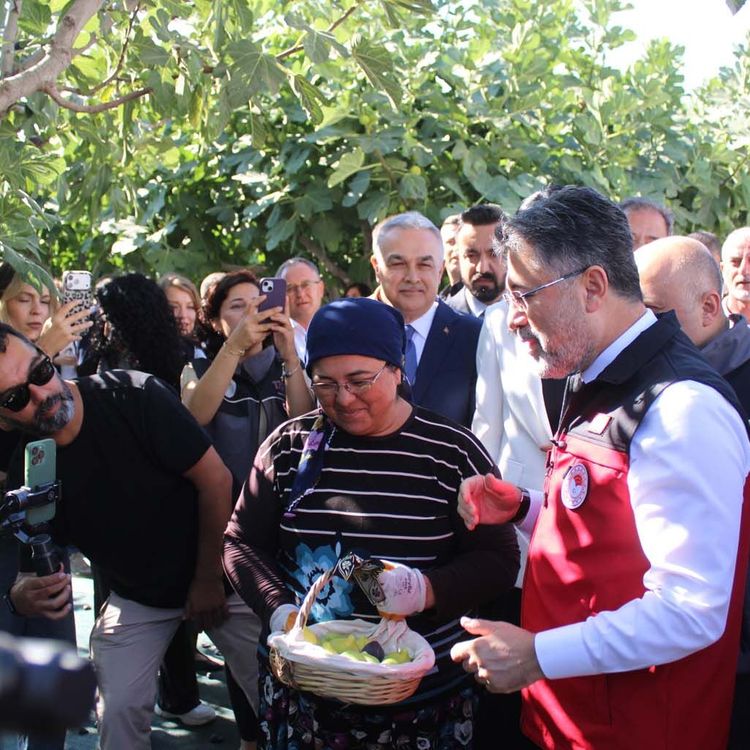 Bakan Yumaklı Aydın'da incir hasadına katıldı