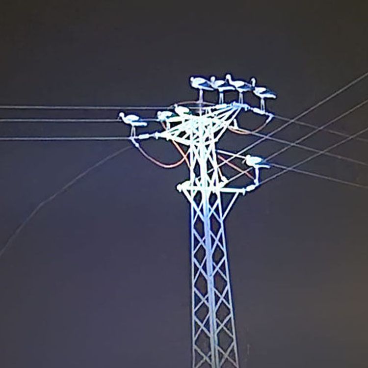 Dönüş yolundaki leyler bazı bölgeleri elektriksiz bıraktı