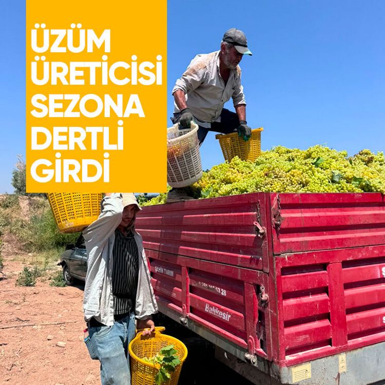Üzüm üreticisi sezona dertli girdi