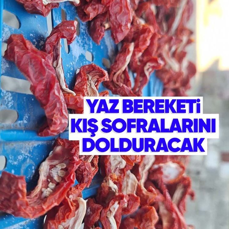 Yaz bereketi kış sofralarını dolduracak