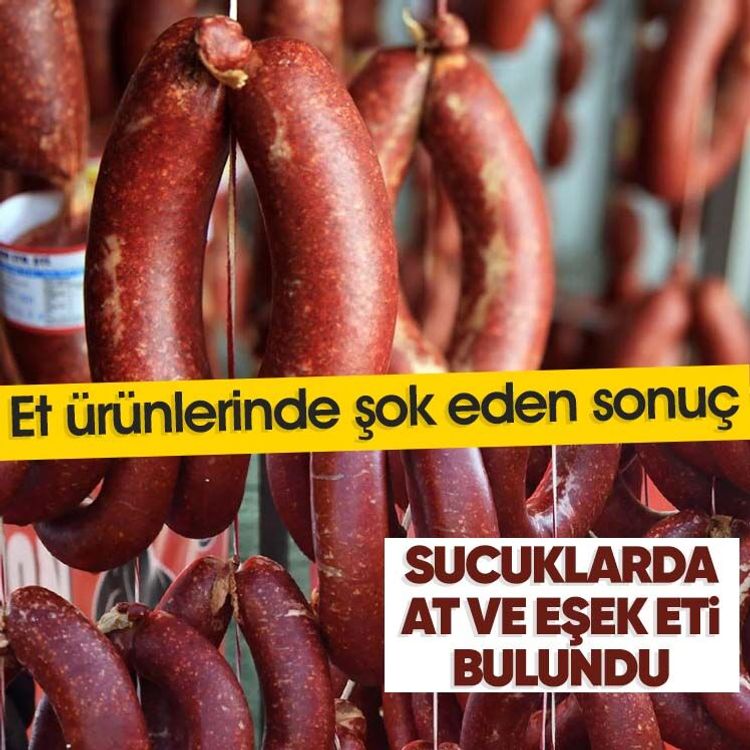Et ürünlerinde şok eden sonuç.. Sucuklarda at ve eşek eti bulundu