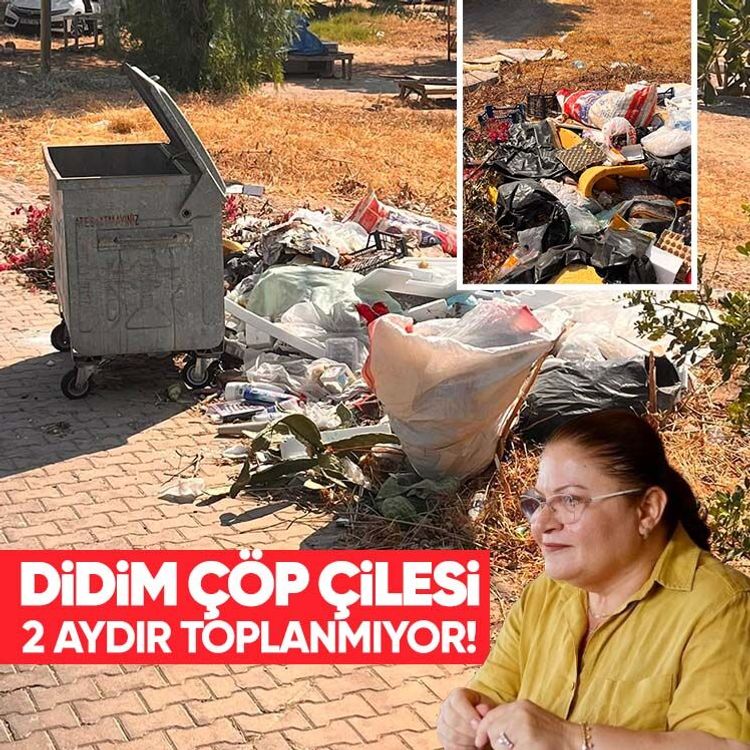 Didim çöp çilesi: 2 aydır toplanmıyor!