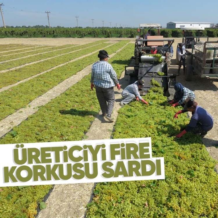 Üreticiyi fire korkusu sardı
