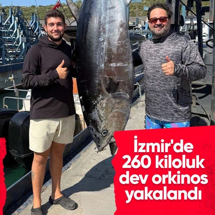 İzmir'de 260 kiloluk dev orkinos yakalandı