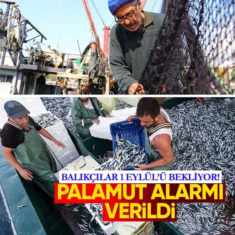 Balıkçılar 1 Eylül’ü bekliyor! Palamut alarmı verildi
