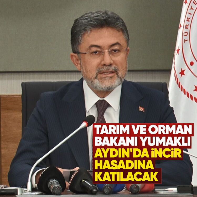 Tarım ve Orman Bakanı Yumaklı Aydın'da incir hasadına katılacak