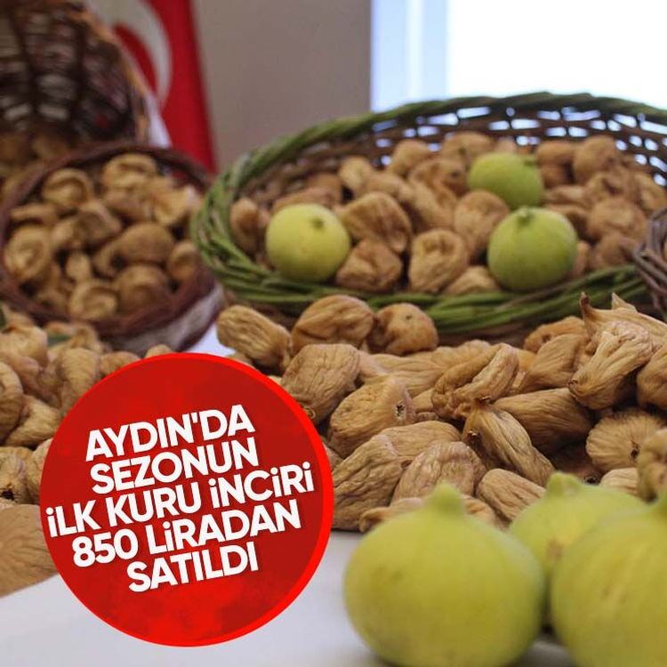 Aydın'da sezonun ilk kuru inciri 850 liradan satıldı