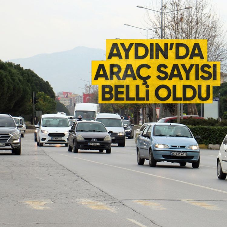 Aydın’da araç sayısı belli oldu