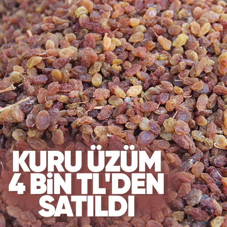 Kuru üzüm 4 bin TL'den satıldı