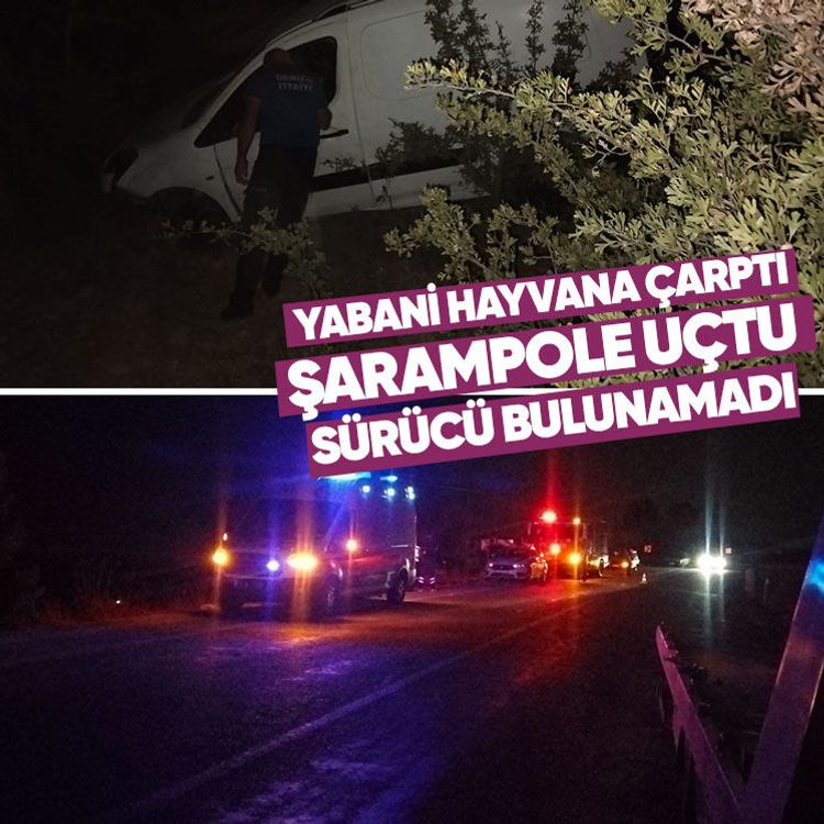 Yabani hayvana çarptı, şarampole uçtu, sürücü bulunamadı