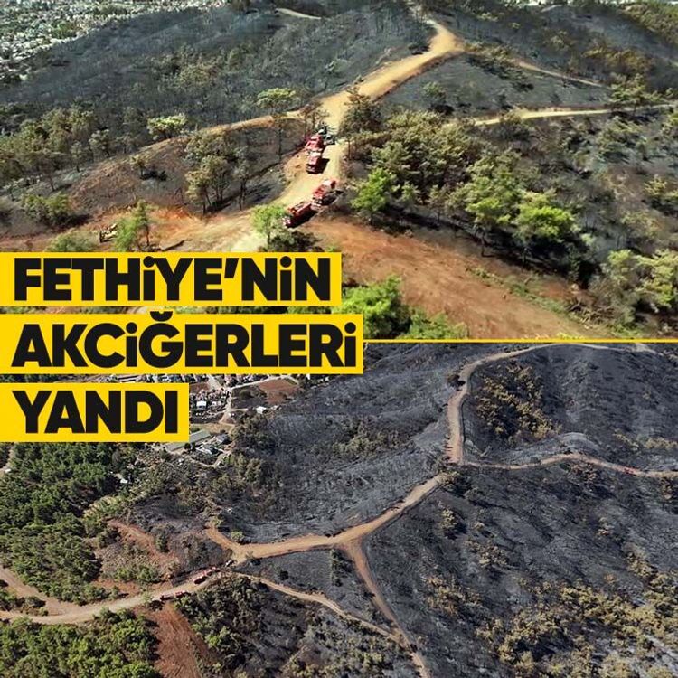 Fethiye’nin akciğerleri yandı