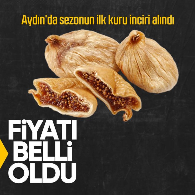Aydın’da sezonun ilk kuru inciri alındı, fiyatı belli oldu