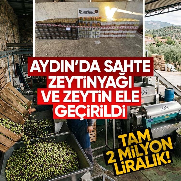 Aydın’da 2 milyon liralık sahte zeytinyağı ve zeytin ele geçirildi