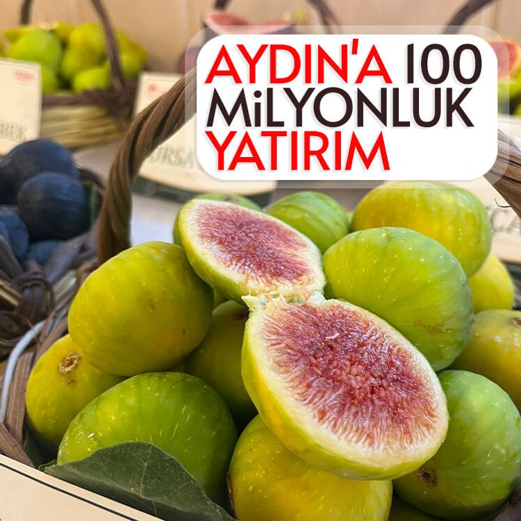 Aydın'a 100 milyonluk yatırım