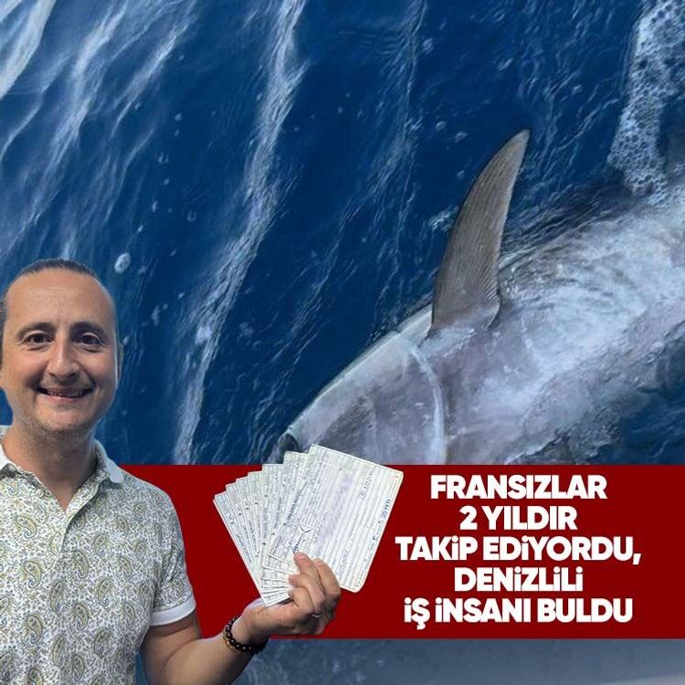 Fransızlar 2 yıldır takip ediyordu, Denizlili iş insanı buldu