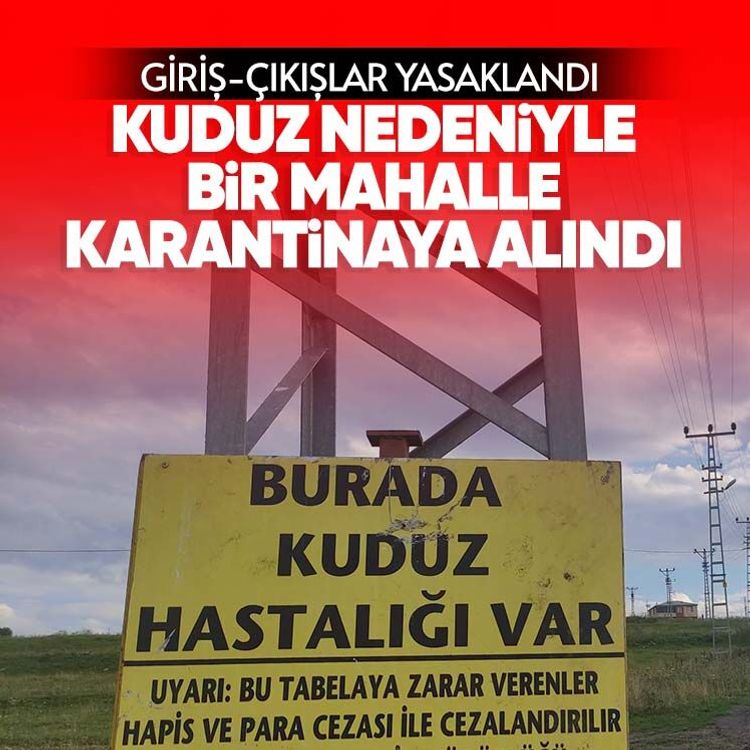 Kuduz nedeniyle bir mahalle karantinaya alındı.. Giriş-çıkışlar yasaklandı