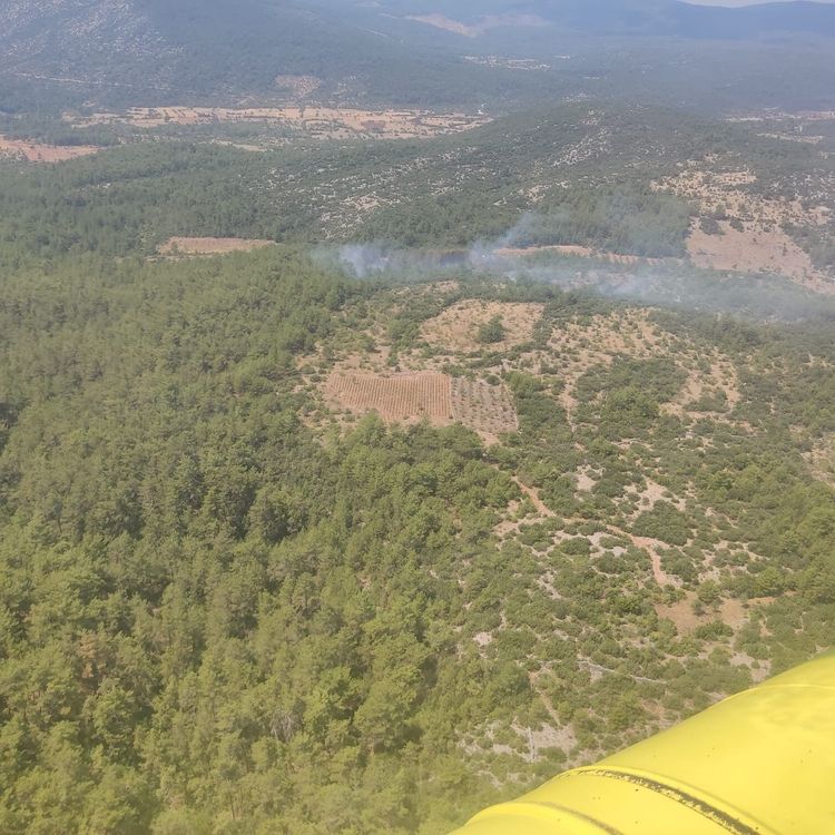 Muğla’da orman yangını kontrol altına alındı