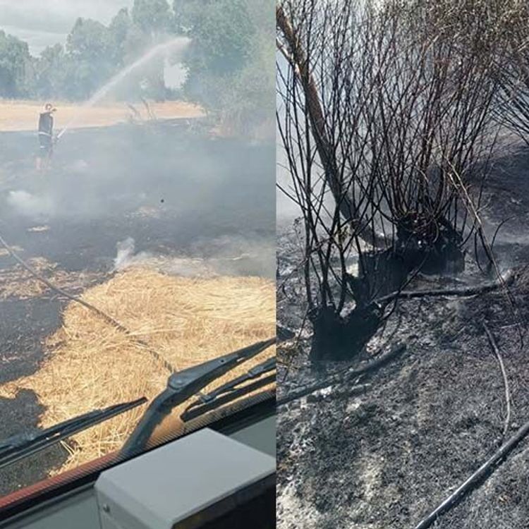 Ot yangını paniğe neden oldu