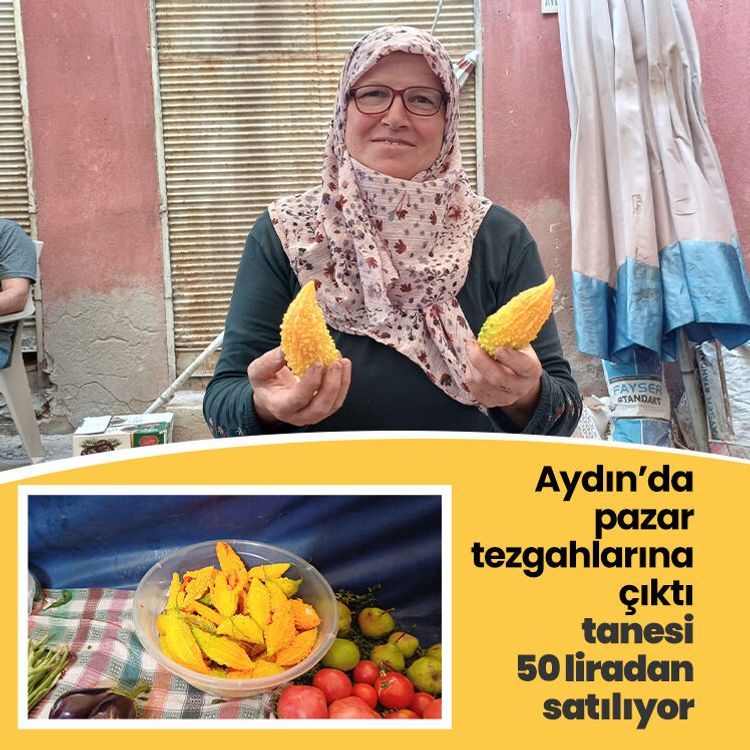 Aydın’da pazar tezgahlarına çıktı, tanesi 50 liradan satılıyor