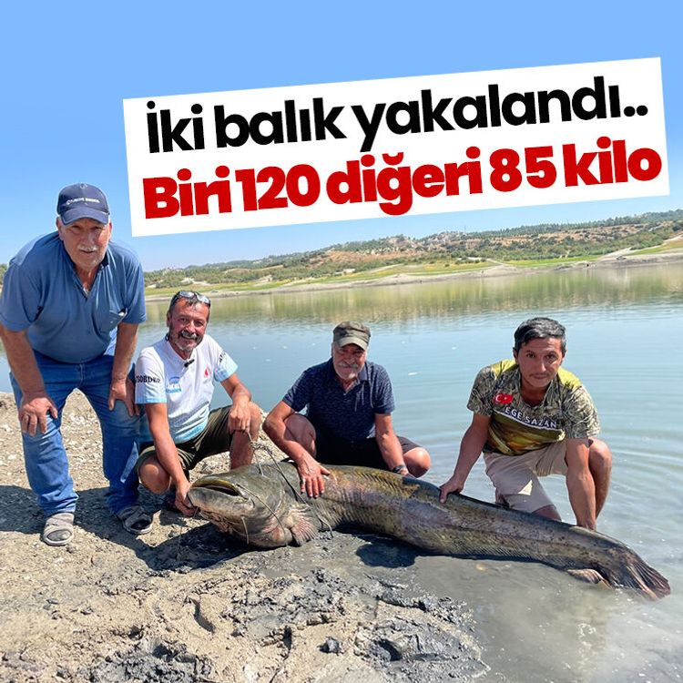 İki balık yakalandı.. Biri 120 diğeri 85 kilo