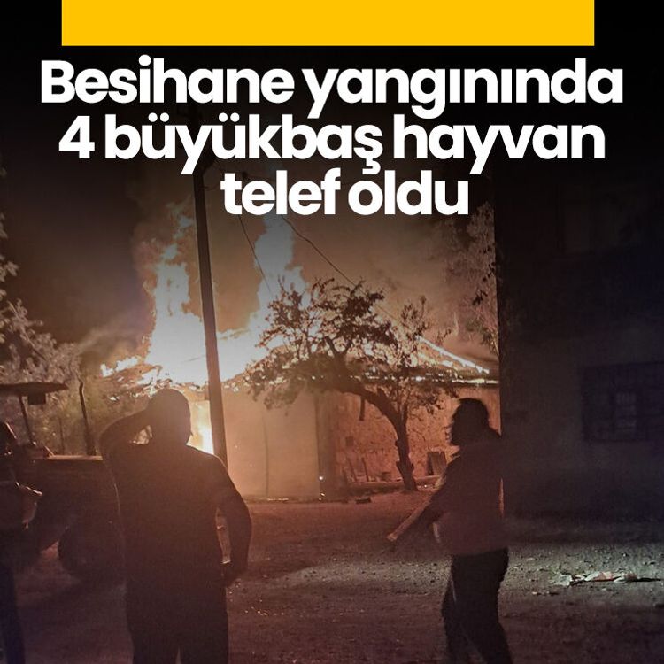 Besihane yangınında 4 büyükbaş hayvan telef oldu