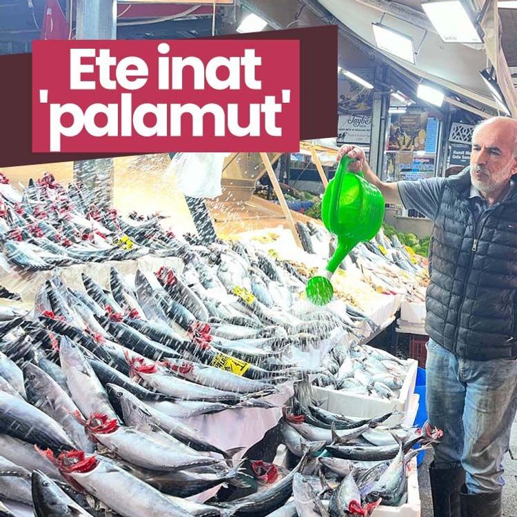 Ete inat 'palamut'