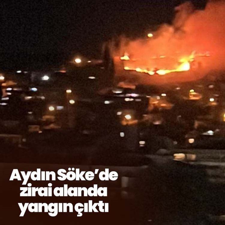 Aydın Söke’de zirai alanda yangın çıktı