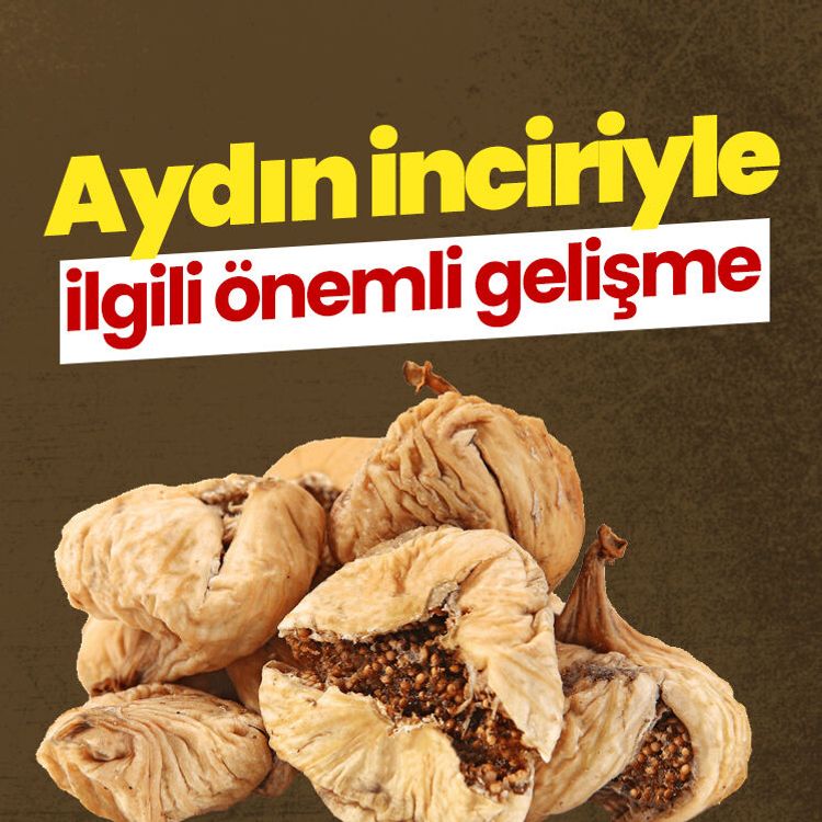 Aydın inciriyle ilgili önemli gelişme
