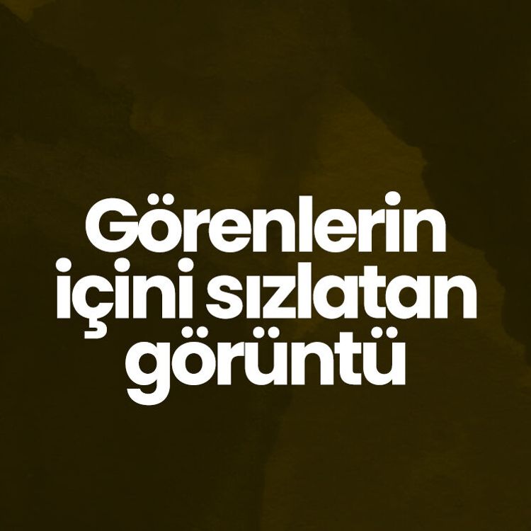 Görenlerin içini sızlatan görüntü