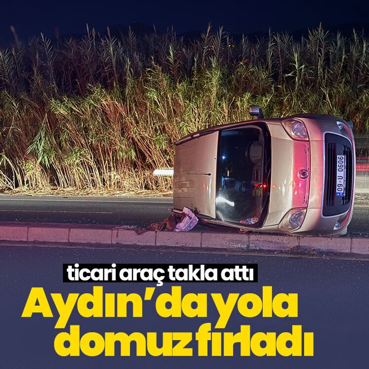 Aydın’da yola domuz fırladı, ticari araç takla attı