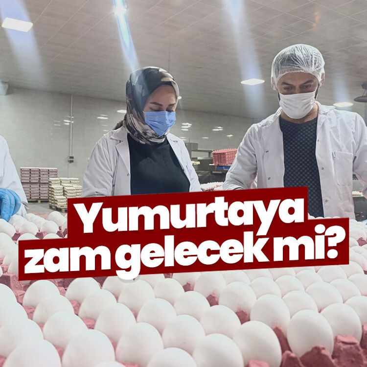 Yumurtaya zam gelecek mi?