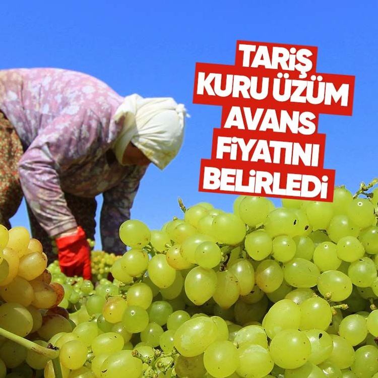 TARİŞ kuru üzüm avans fiyatını belirledi
