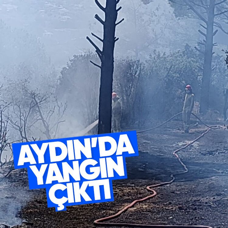 Aydın’da yangın çıktı